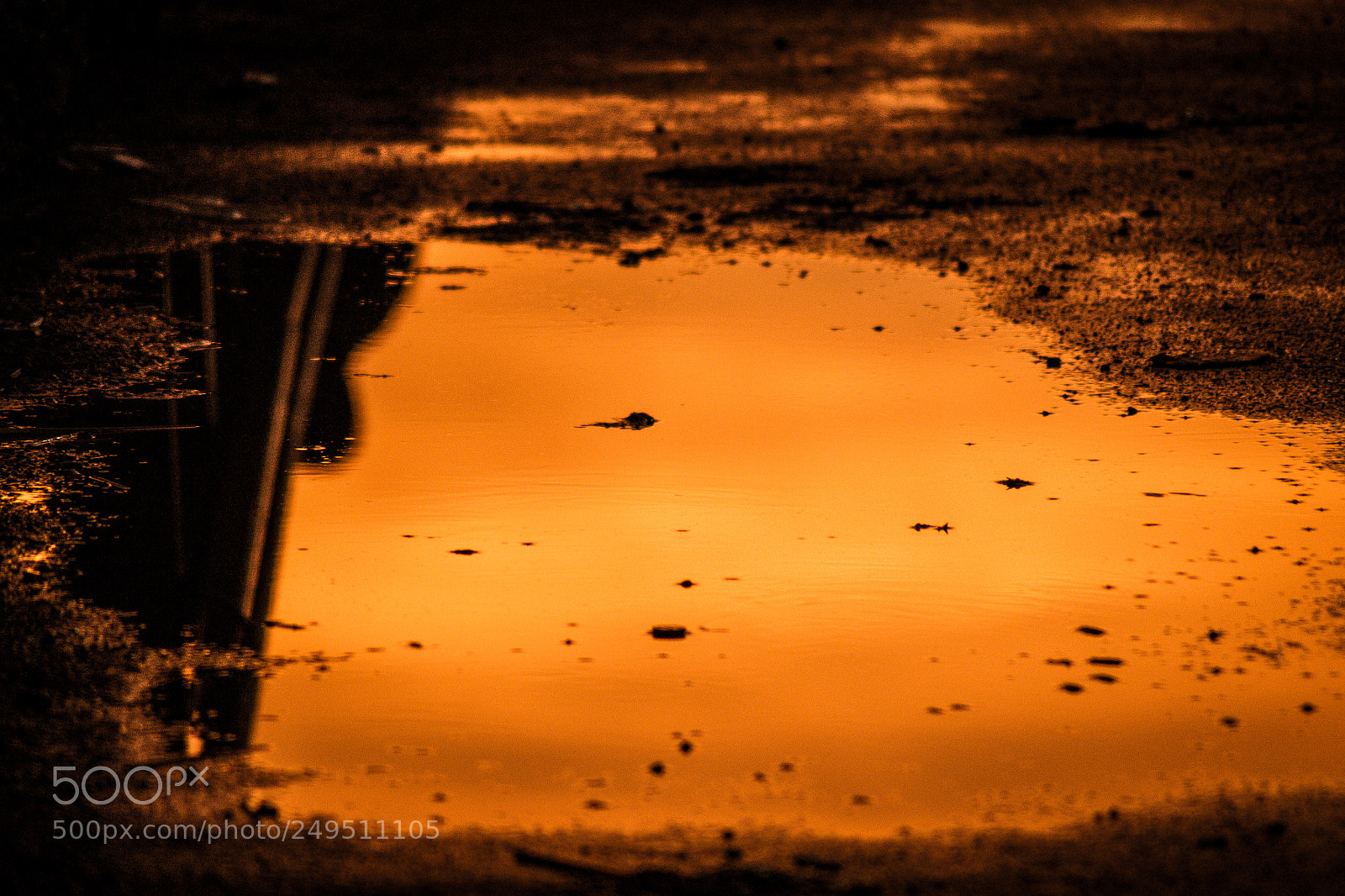 Nikon D3100 sample photo. Mirror photography