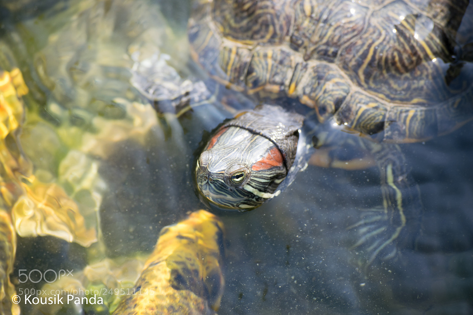 Nikon D5300 sample photo. I can see you photography