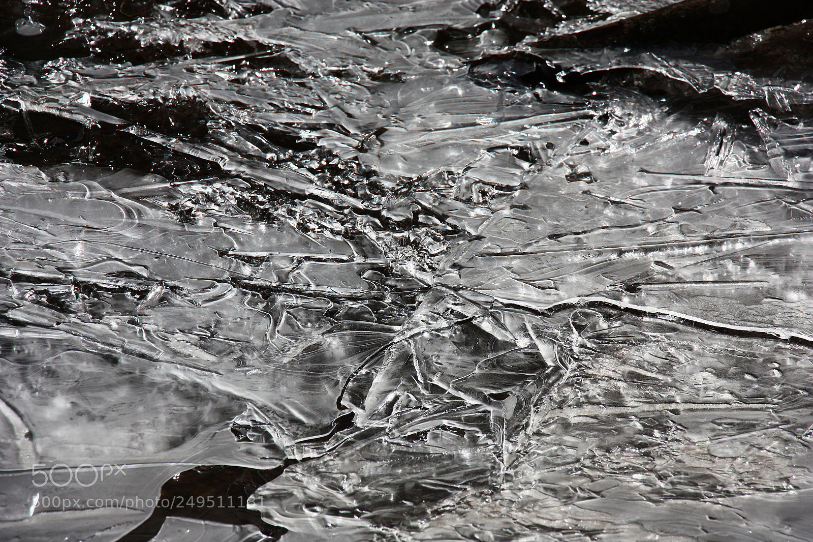 Canon EOS 450D (EOS Rebel XSi / EOS Kiss X2) sample photo. Ice abstraction. photography