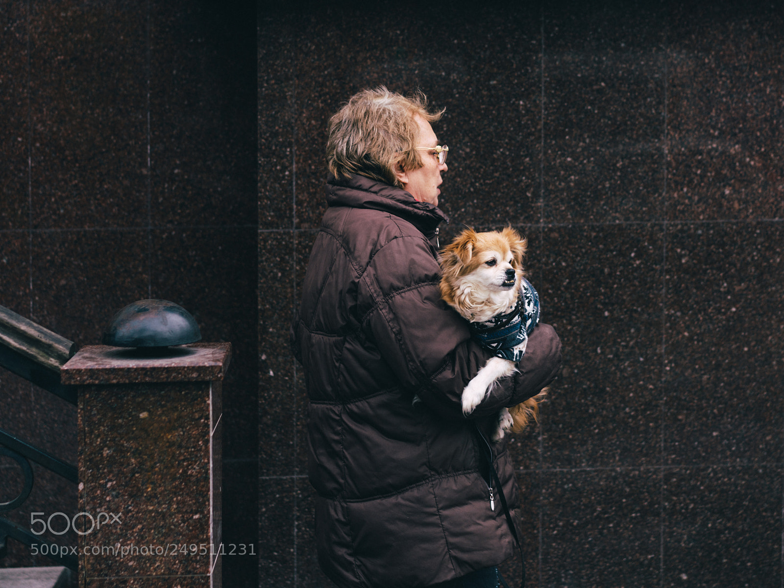 Sony a7R II sample photo. 305/365 photography