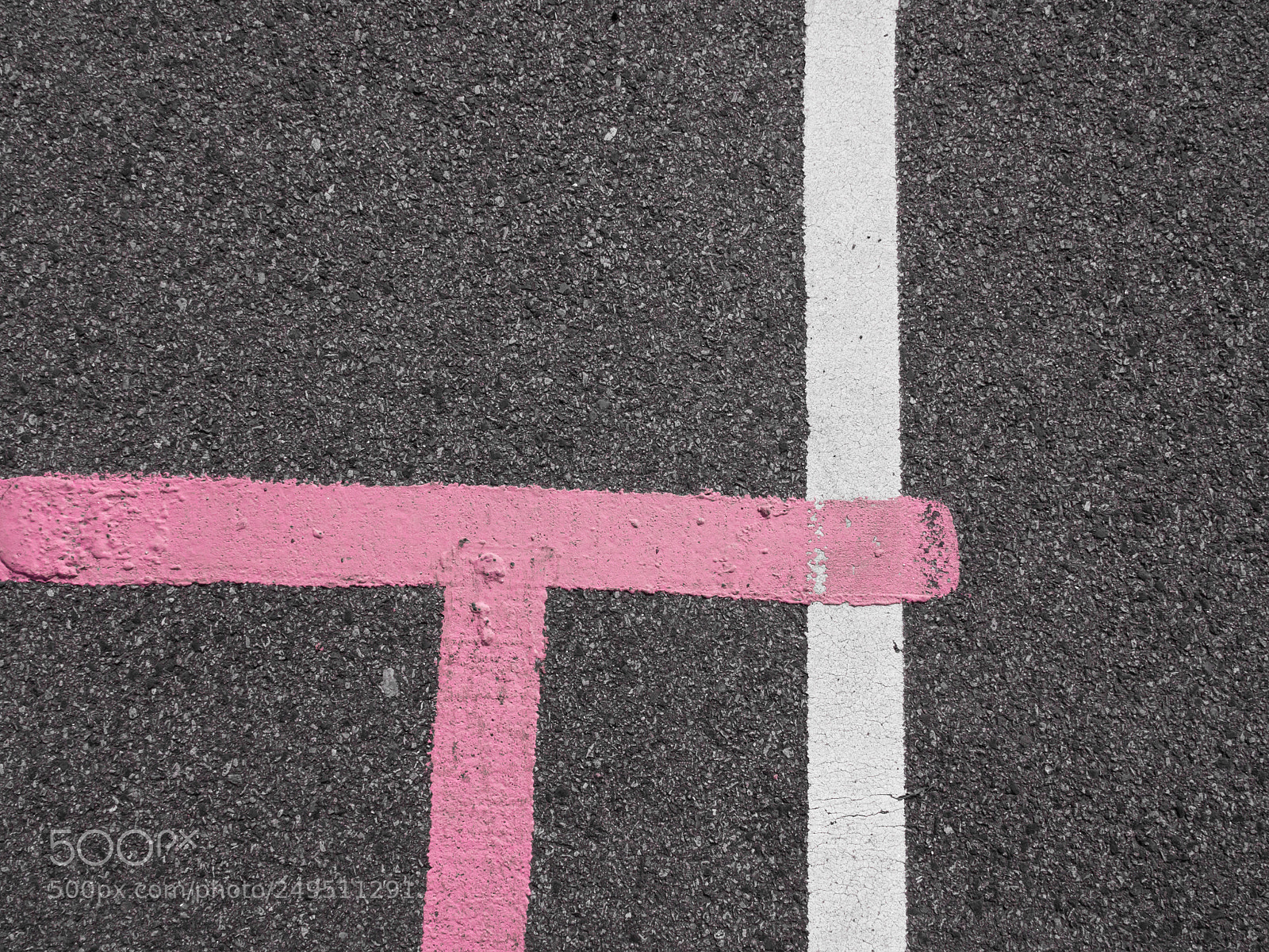 Panasonic Lumix DMC-GX8 sample photo. Pink 1 photography