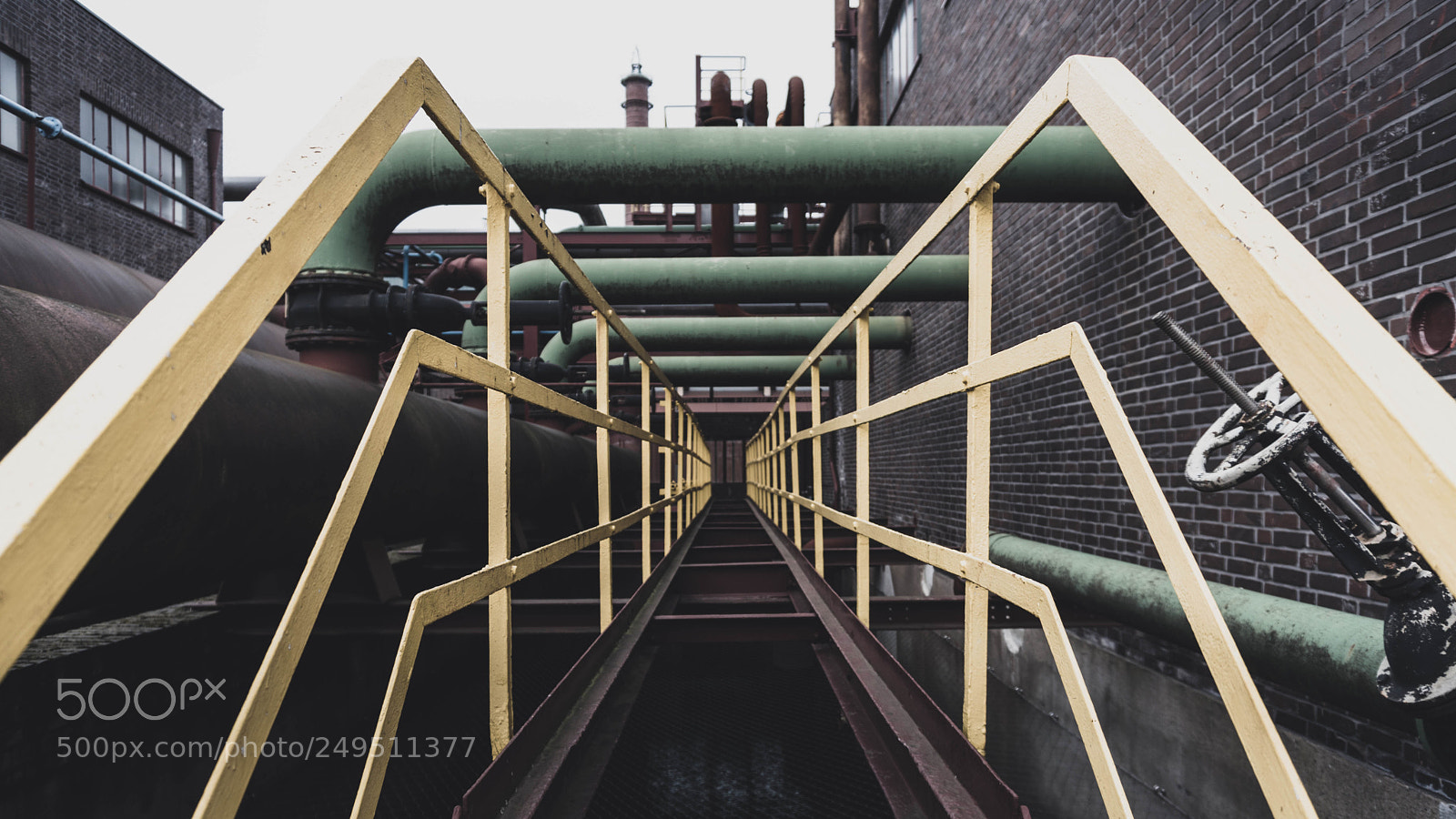 Sony a6300 sample photo. Yellow rails photography