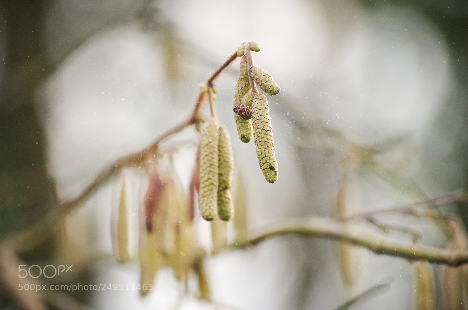 Pentax K-30 sample photo. Changing seasons photography