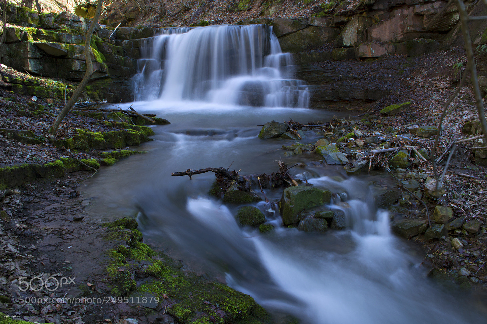 Nikon D3100 sample photo. Fall flow photography