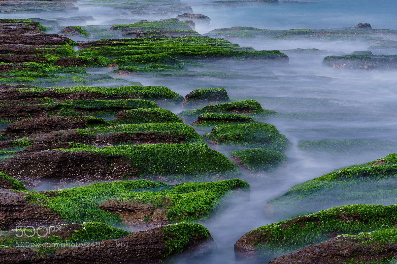 Sony a7 II sample photo. Green on a sea photography