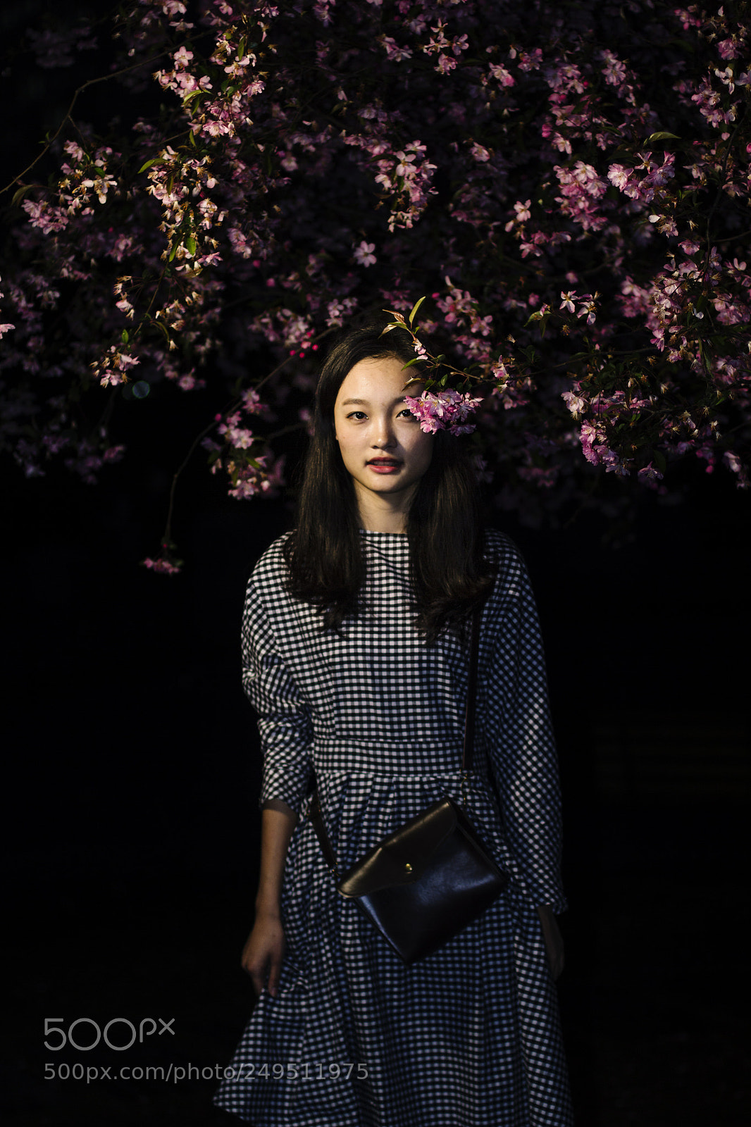 Canon EOS 60D sample photo. Photo taken in shanghai photography