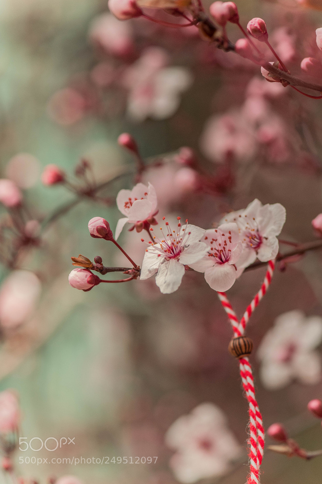Nikon D5300 sample photo. Warmth photography