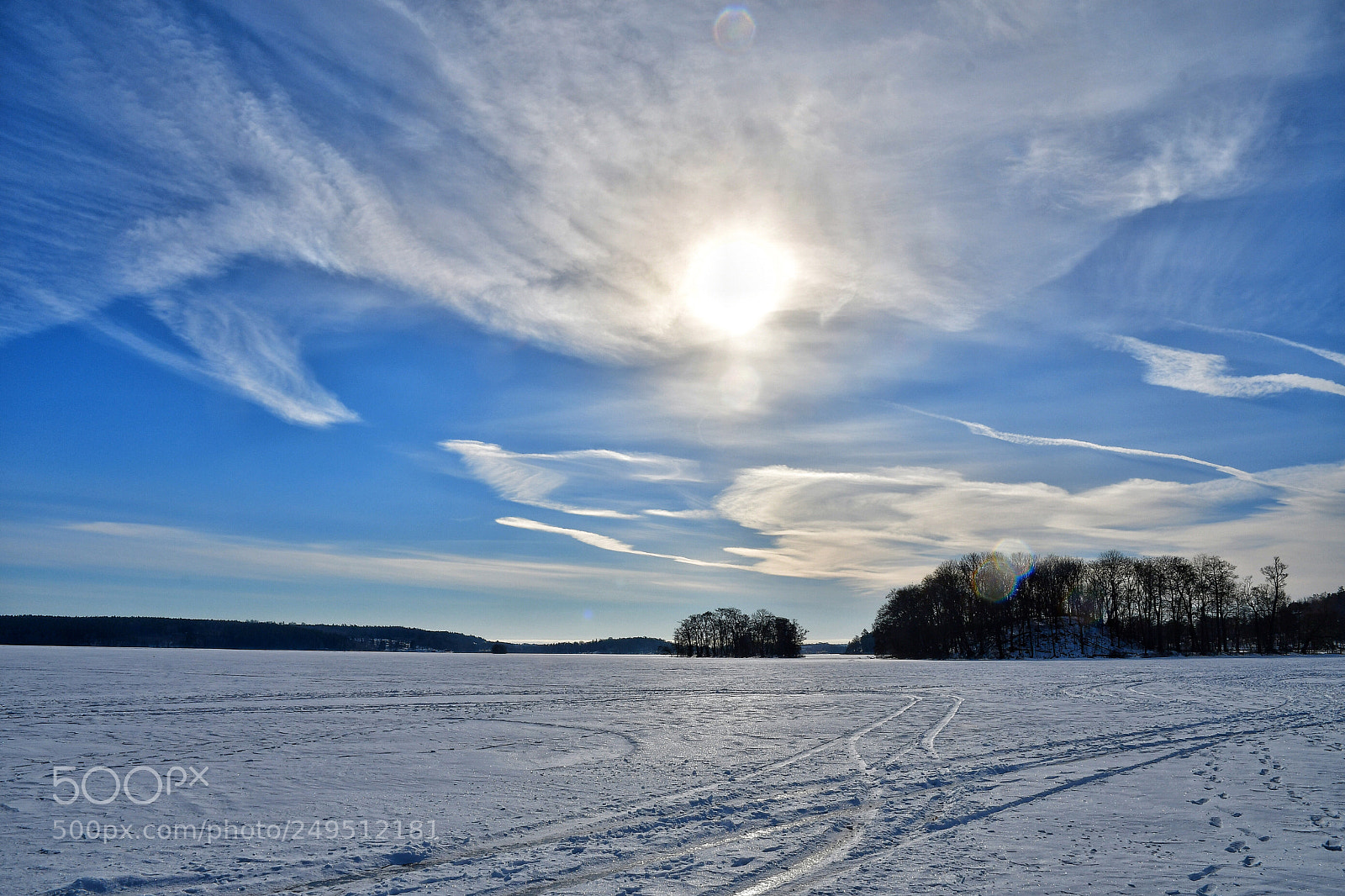 Nikon D500 sample photo. Beautiful nature photography