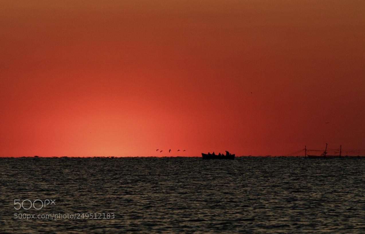 Canon EOS 750D (EOS Rebel T6i / EOS Kiss X8i) sample photo. Follow the sun photography