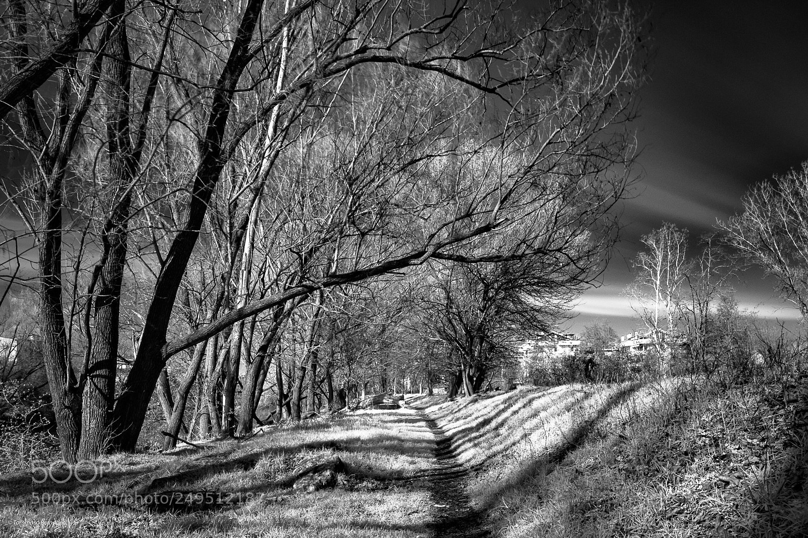 Canon EOS 6D Mark II sample photo. Untitled photography