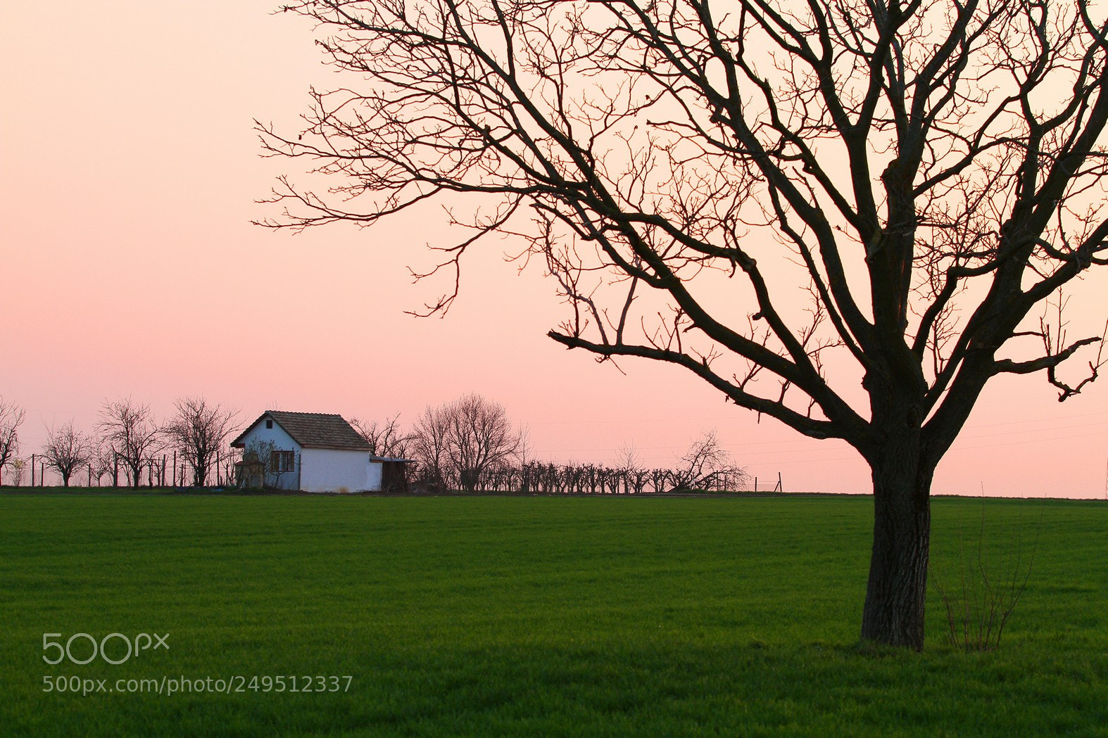 Canon EOS 7D sample photo. Cikovac photography