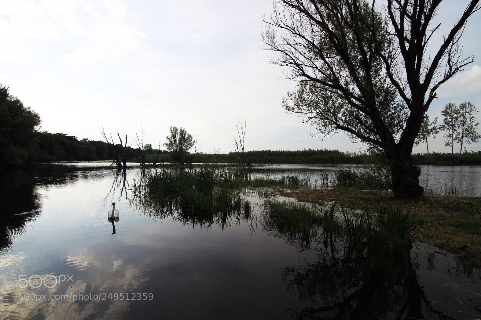 Canon EOS 7D sample photo. Cikovac photography