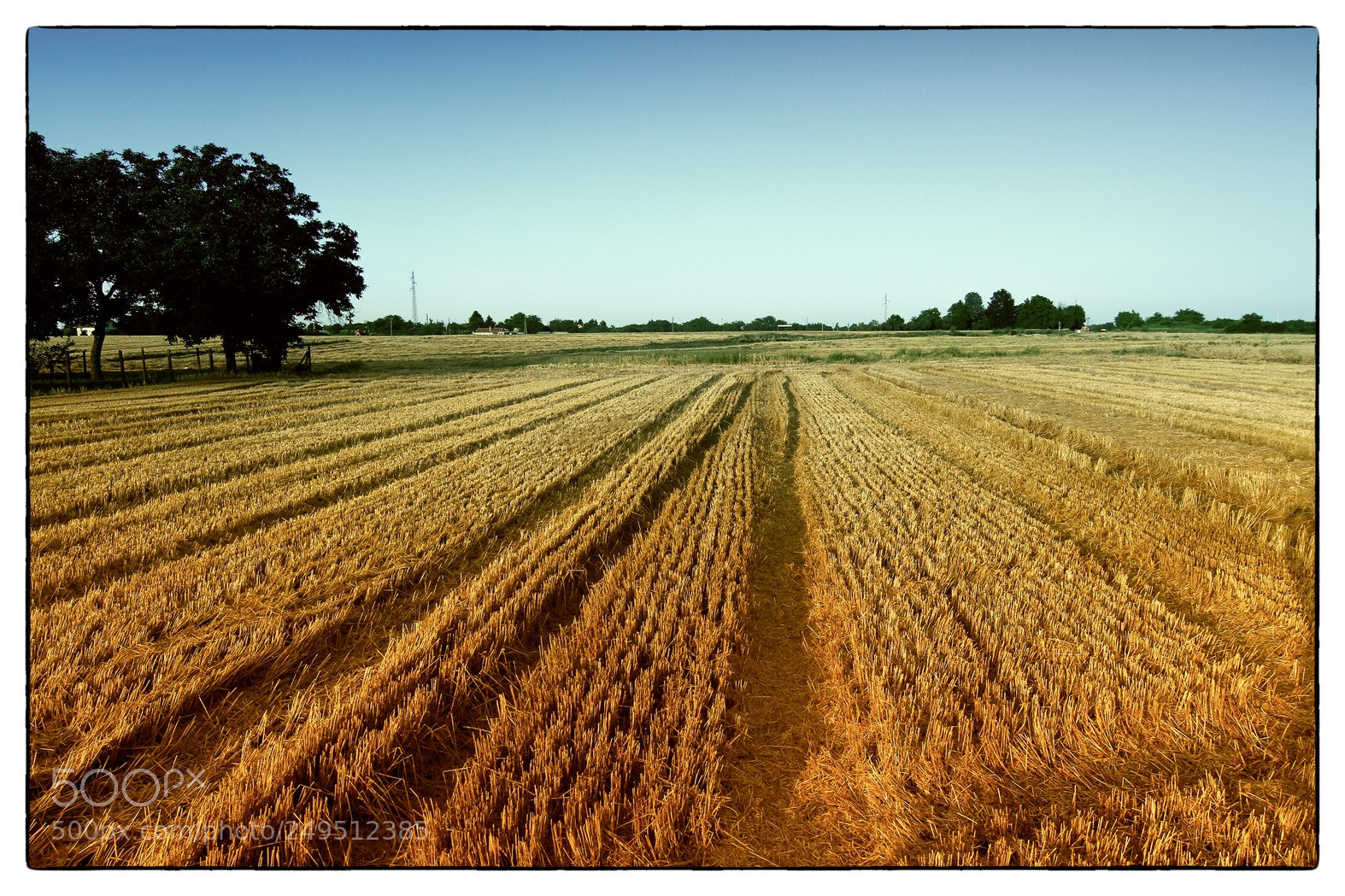 Canon EOS 7D sample photo. Cikovac photography