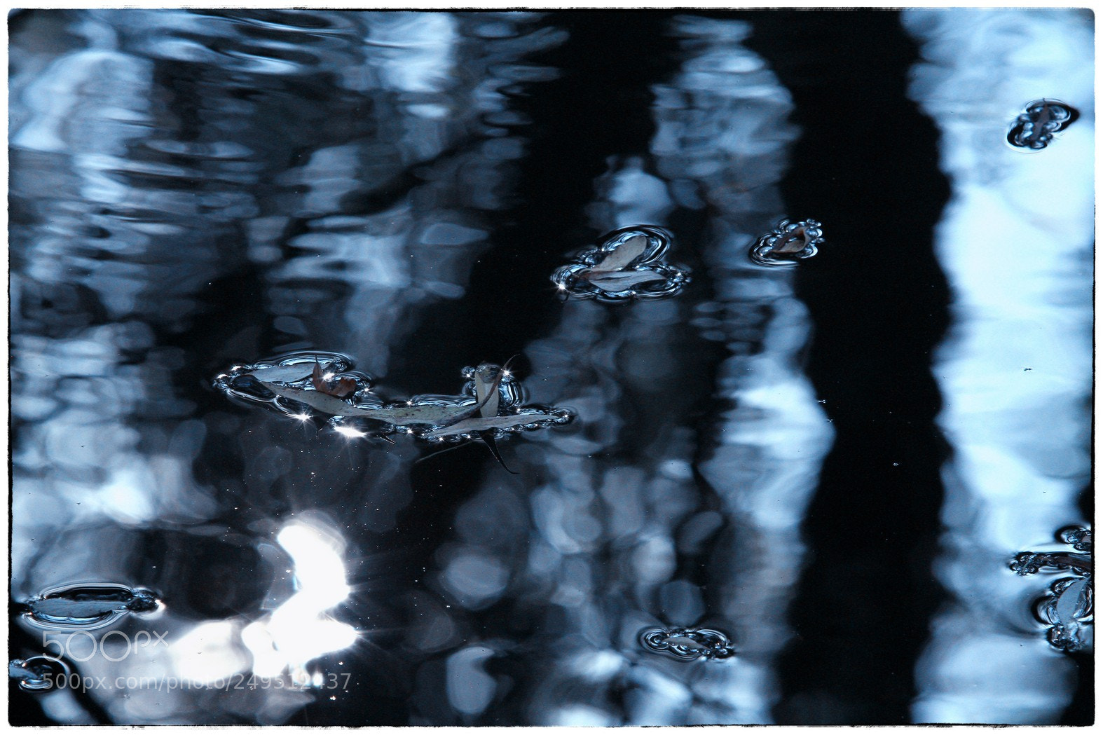 Canon EOS 7D sample photo. Cikovac photography