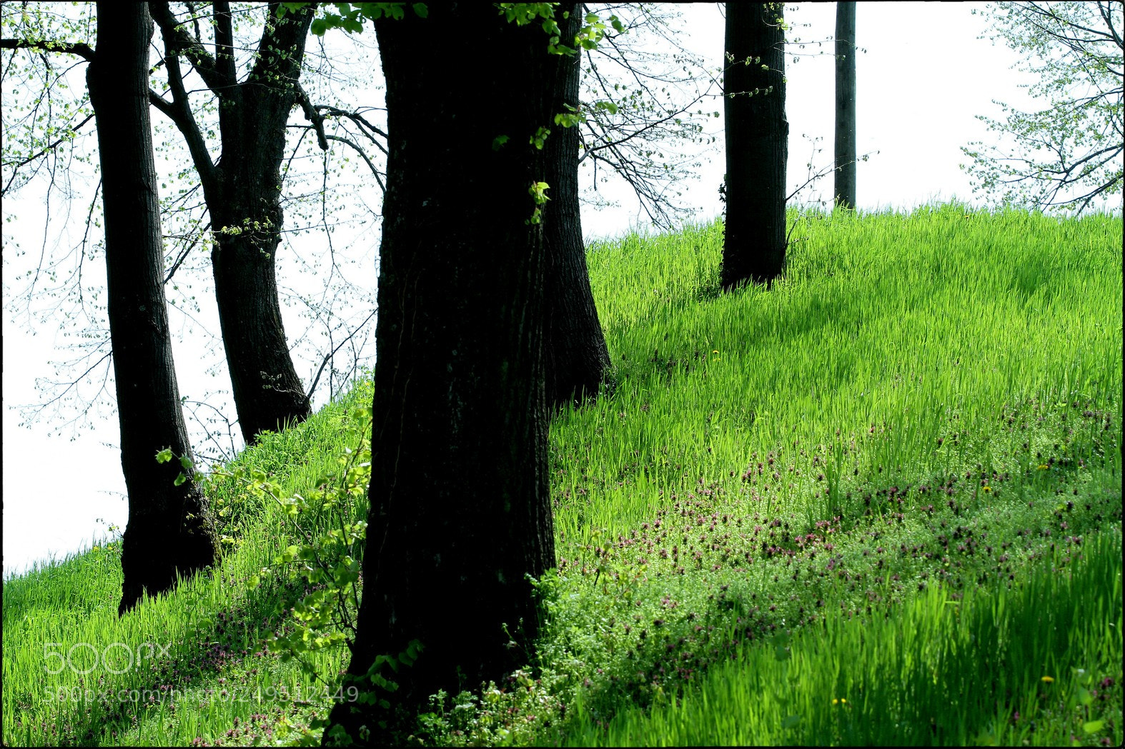 Canon EOS 7D sample photo. Cikovac photography