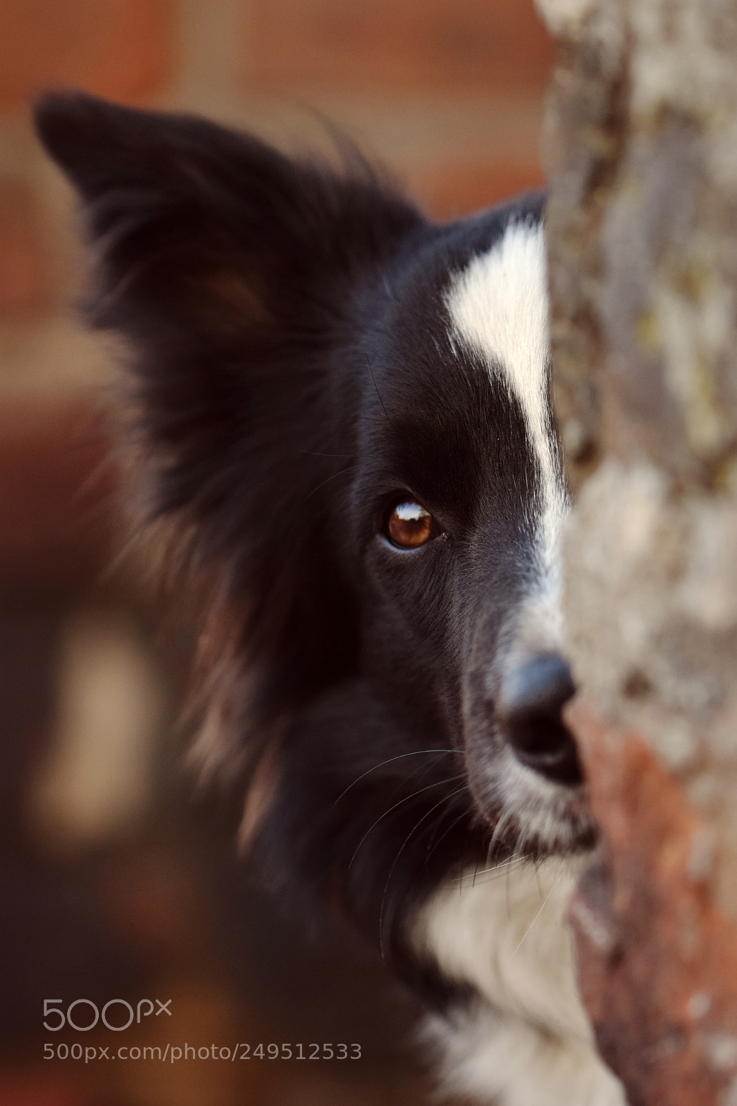 Nikon D5300 sample photo. Wall of secrets photography