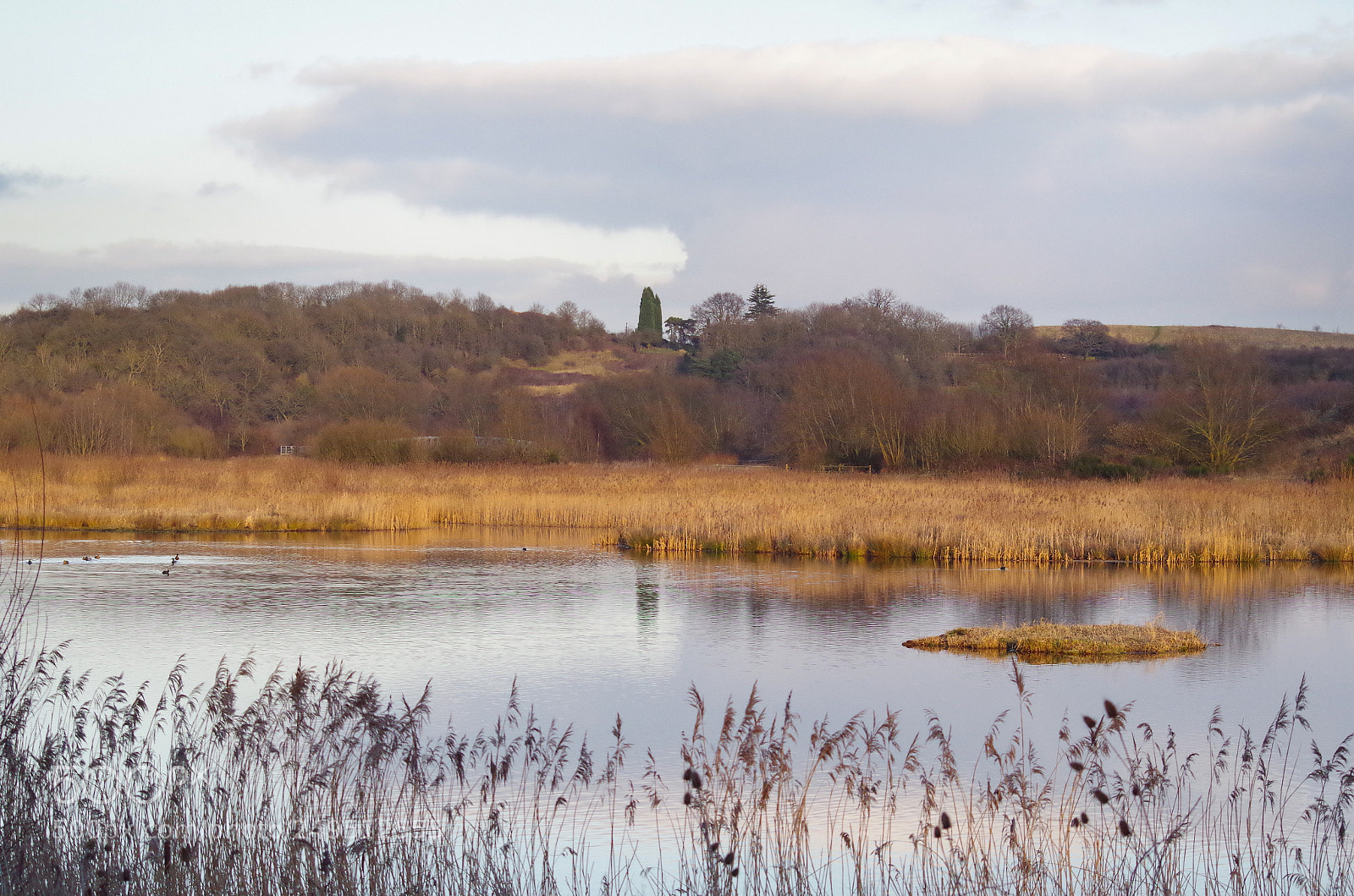 Pentax K-30 sample photo. Wetlands photography