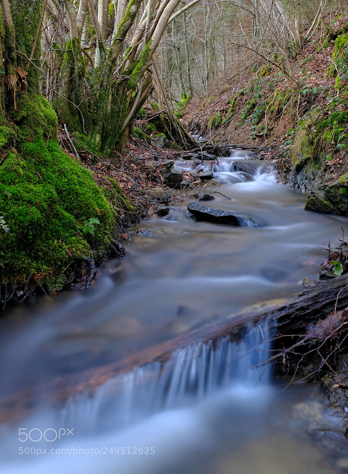 Fujifilm X100F sample photo. Ardennen belguim photography