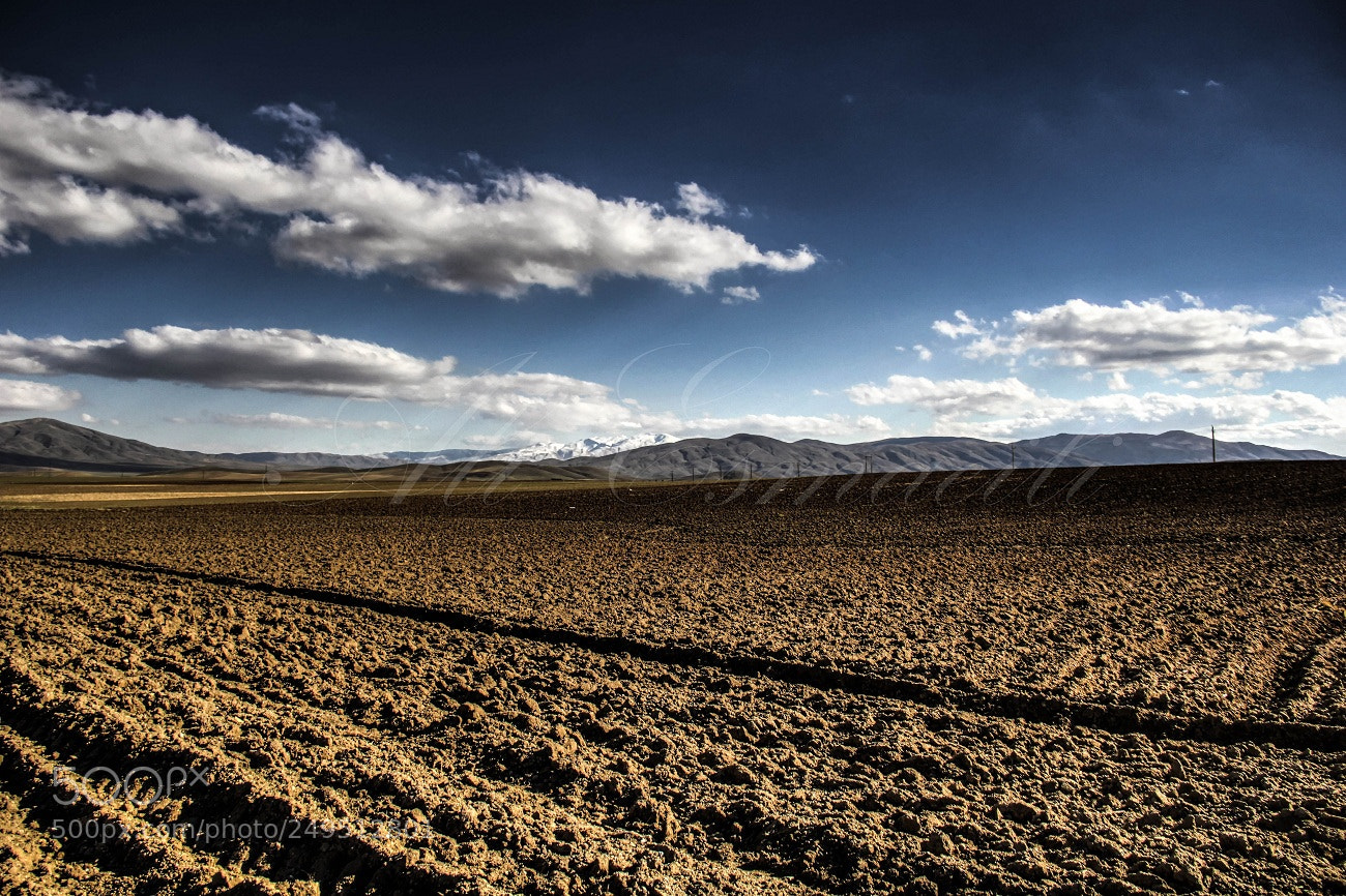 Canon EOS 60D sample photo. Lines photography