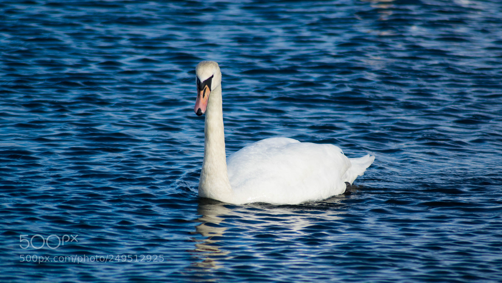 Nikon D3300 sample photo. Floating photography