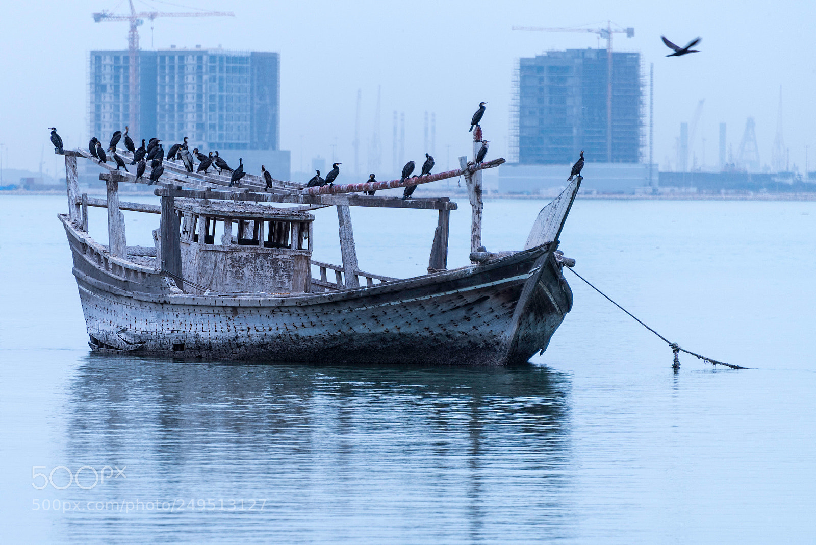 Nikon D810 sample photo. All useful photography
