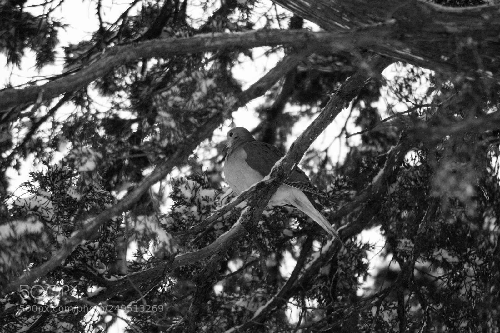Nikon D3300 sample photo. Tranquil photography