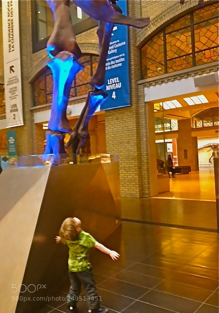 Apple iPhone 4S sample photo. Looking at dinosaurs photography