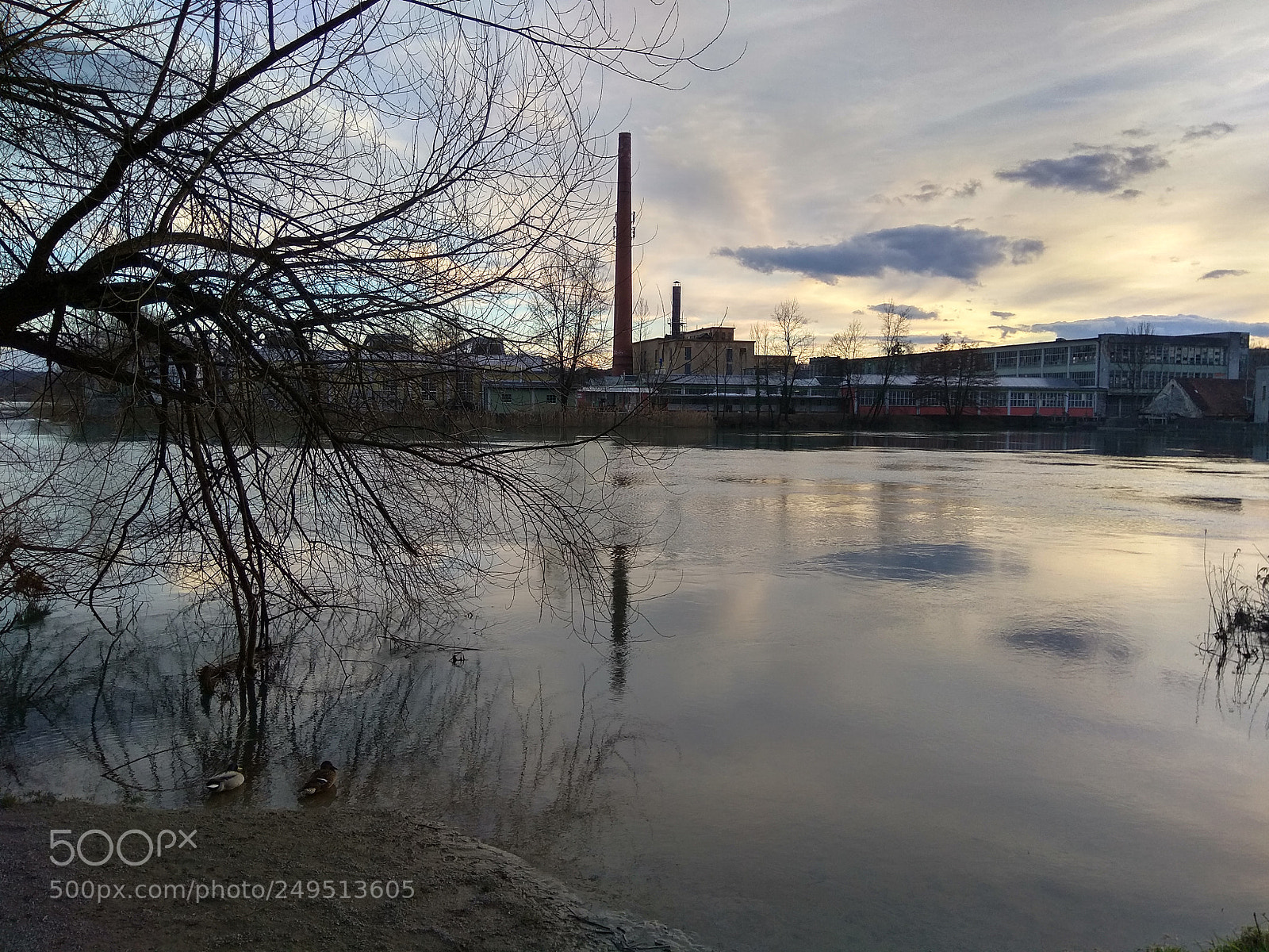 Xiaomi Redmi Note 4 sample photo. Probing spring photography