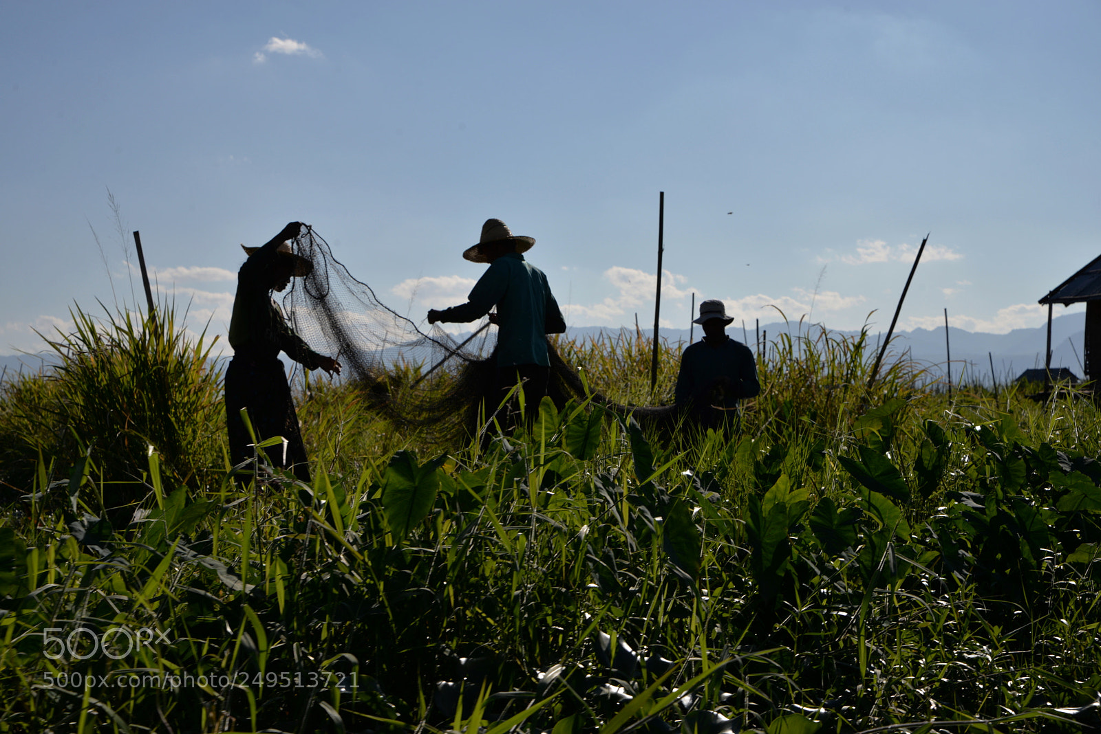 Nikon D610 sample photo. Ombres birmanes /6578 photography