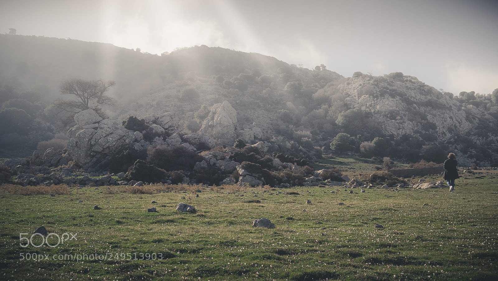 Nikon D3100 sample photo. Dark field photography