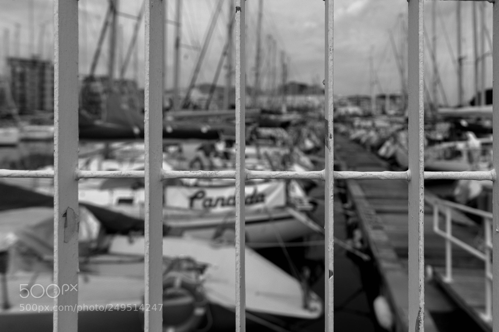 Canon EOS 100D (EOS Rebel SL1 / EOS Kiss X7) sample photo. Caged photography