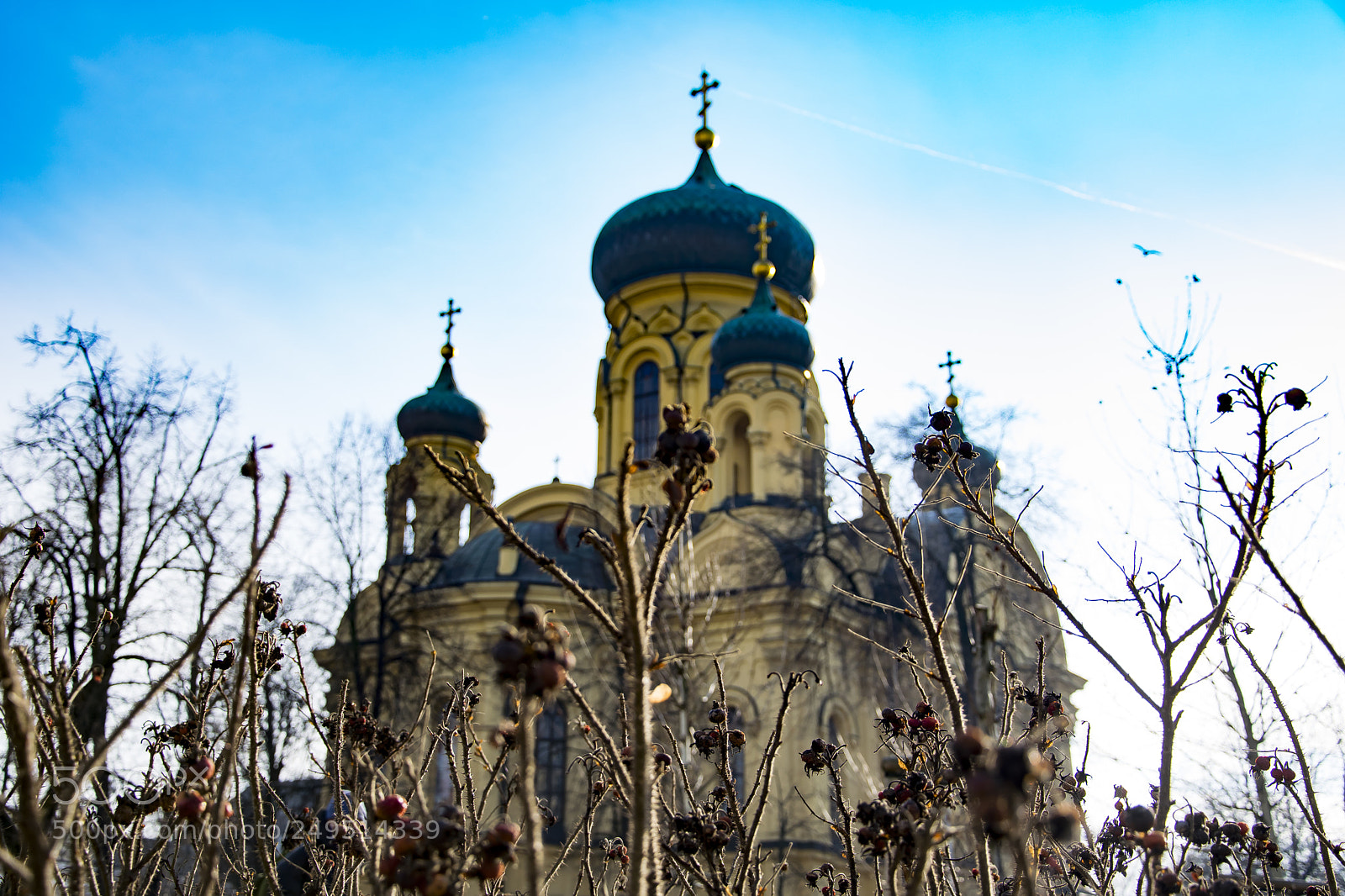 Nikon D5300 sample photo. Church photography