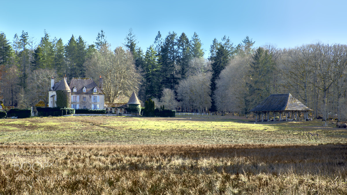 Nikon D5600 sample photo. La puisaye photography