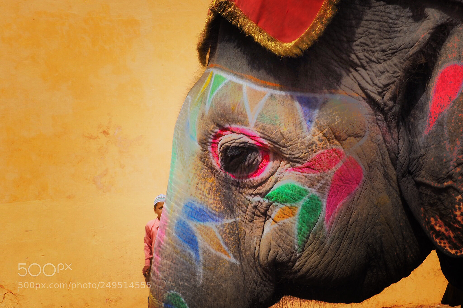 Olympus OM-D E-M10 II sample photo. Elephant with make up photography