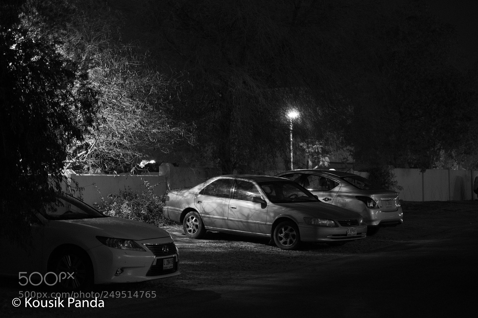 Nikon D5300 sample photo. Noir photography