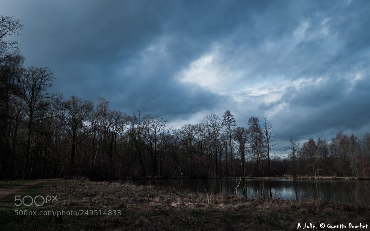 Sony Cyber-shot DSC-RX100 II sample photo. Etang des moines photography