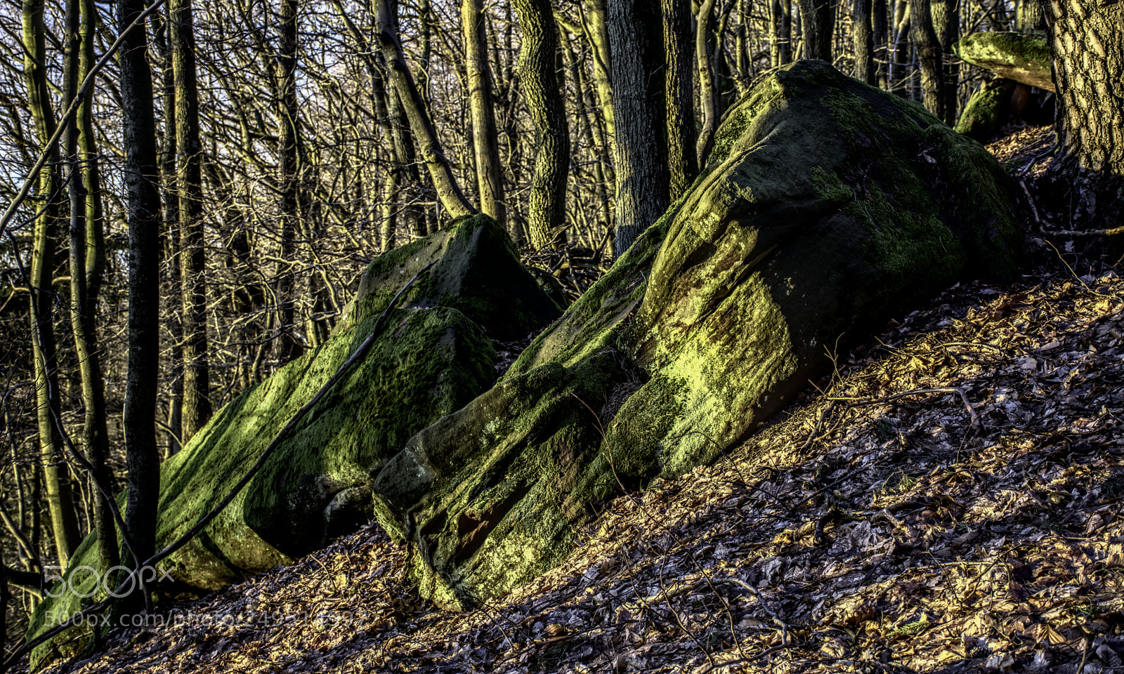 Nikon D7100 sample photo. Palatinate81 photography