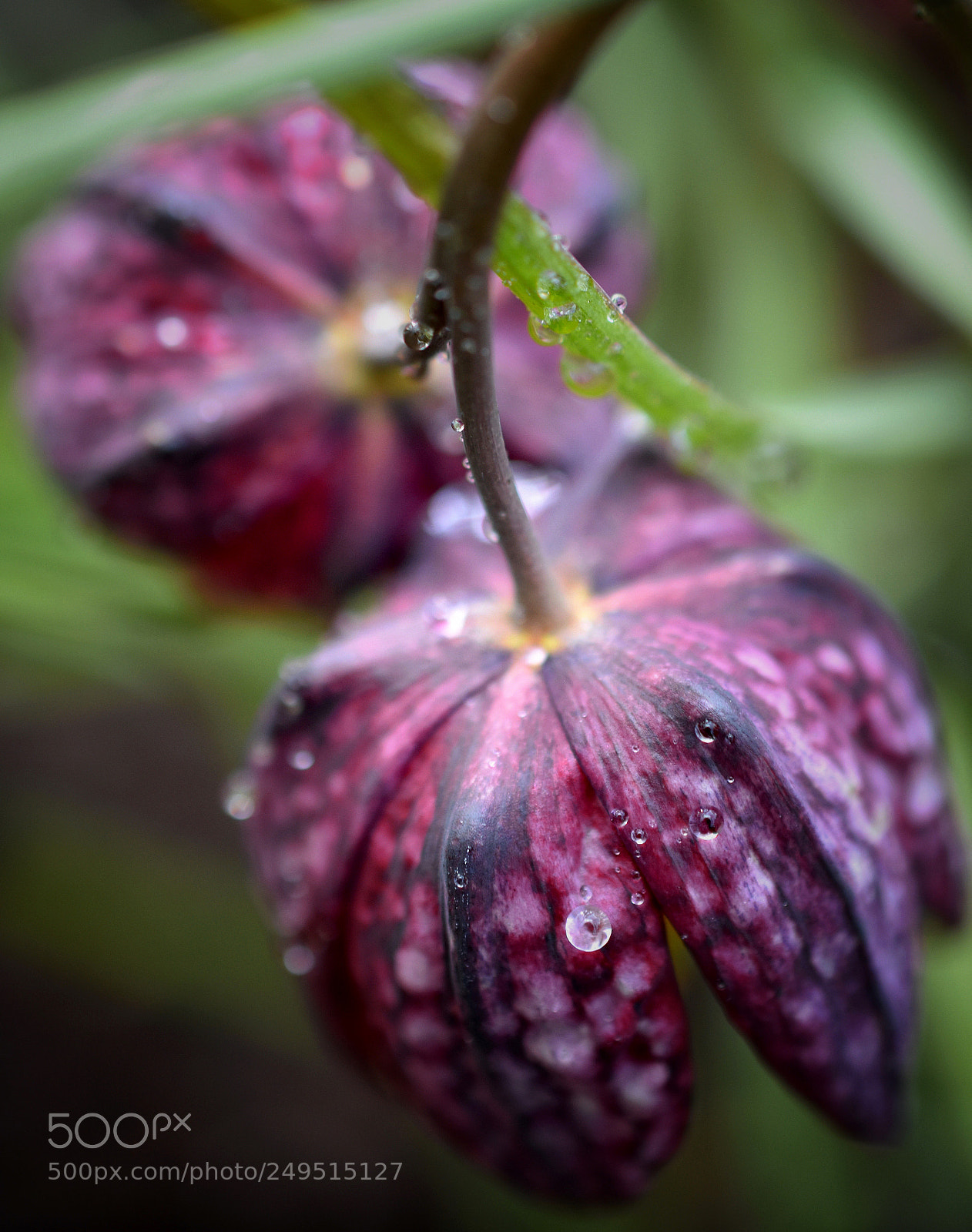 Nikon D3400 sample photo. Untitled photography