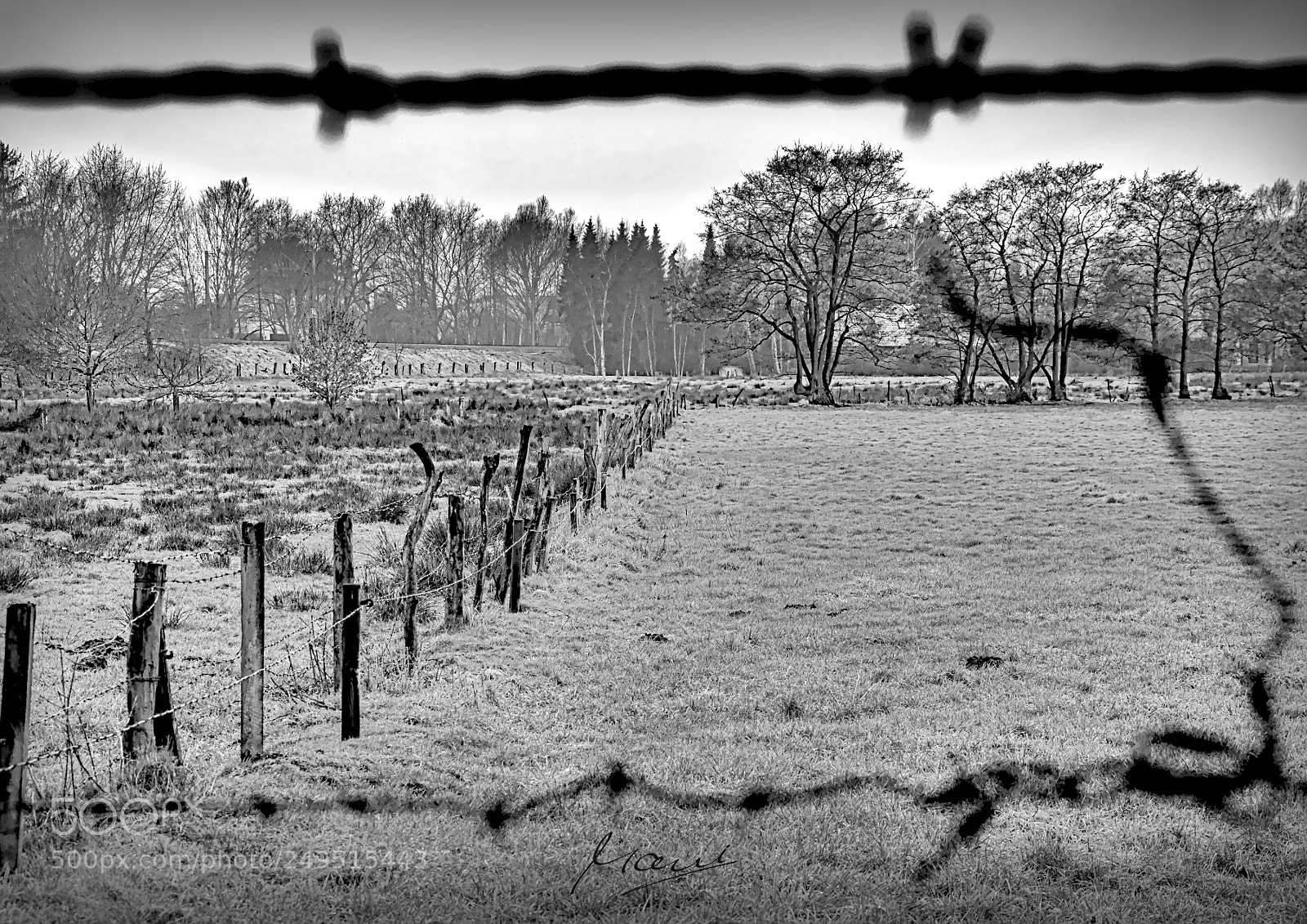 Nikon D90 sample photo. Fences photography