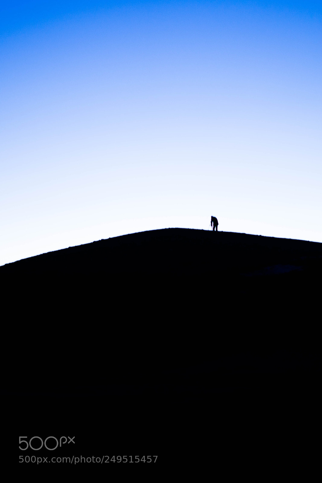 Sony a7 sample photo. Hard to climb the photography