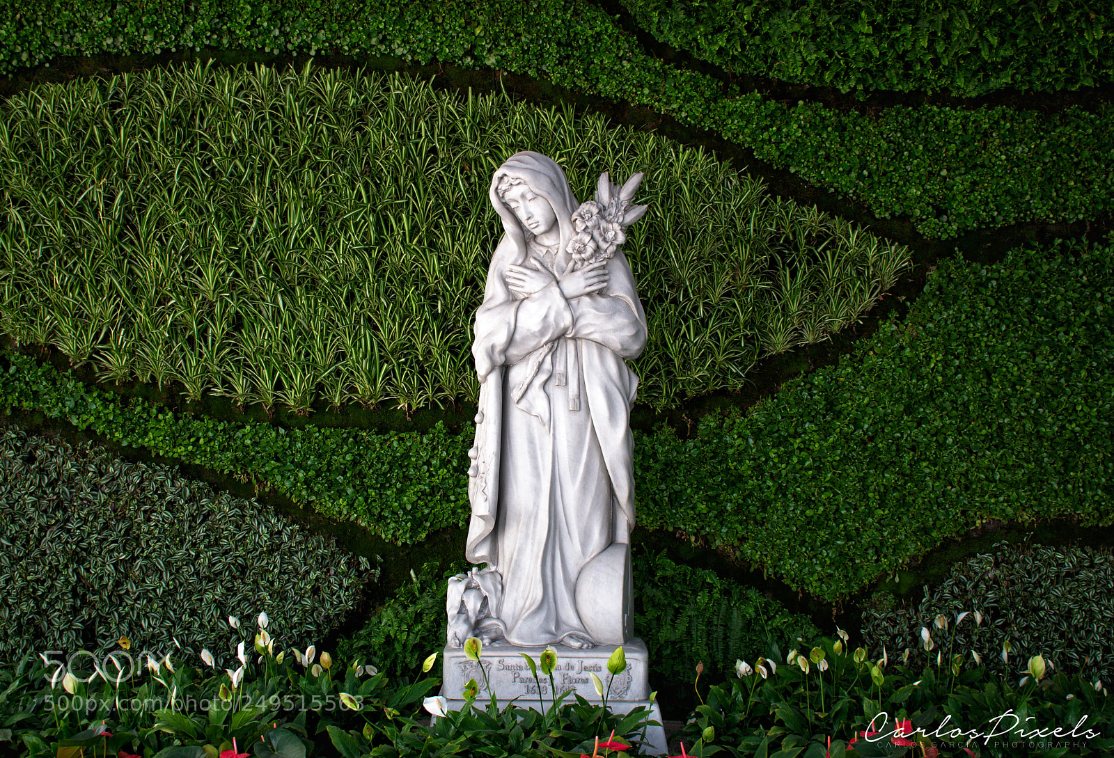 Nikon D3400 sample photo. Believers photography