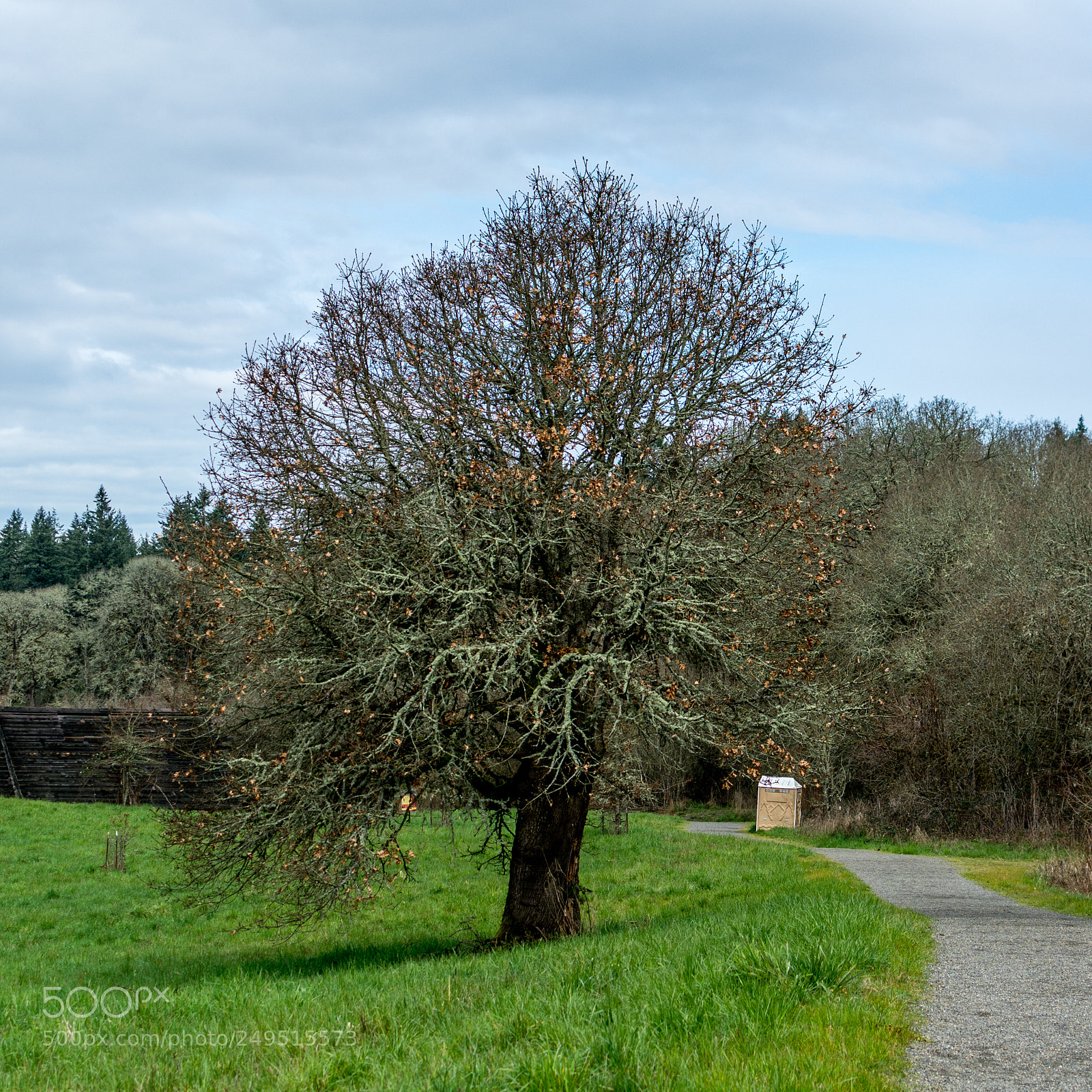 Nikon D7100 sample photo. Lopsided photography