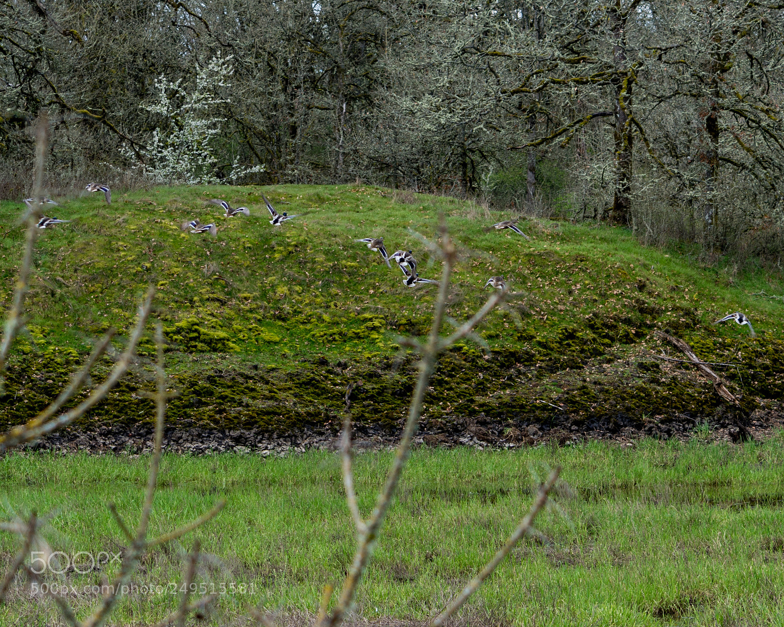 Nikon D7100 sample photo. Time to move photography