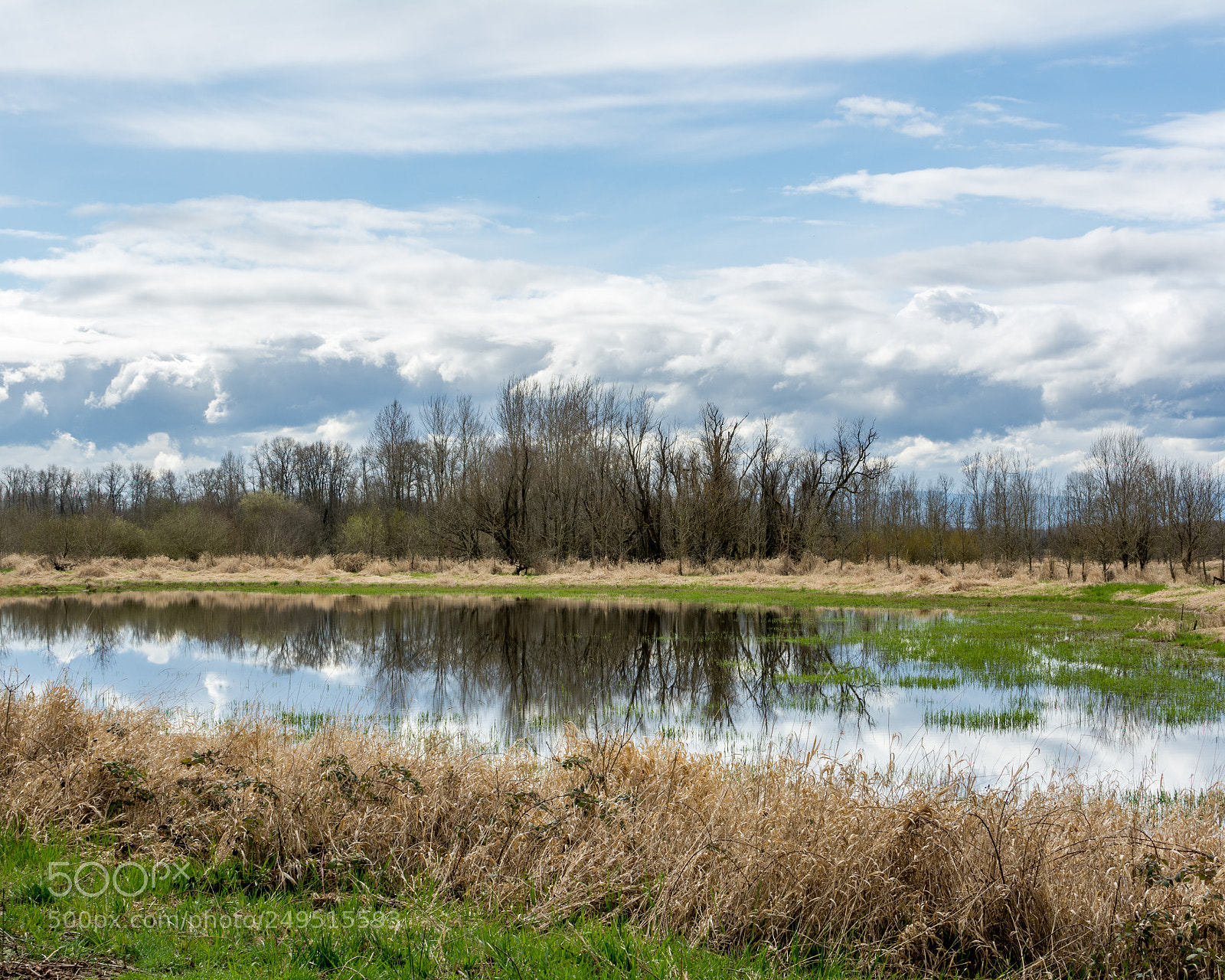 Nikon D7100 sample photo. Wetland reflections photography