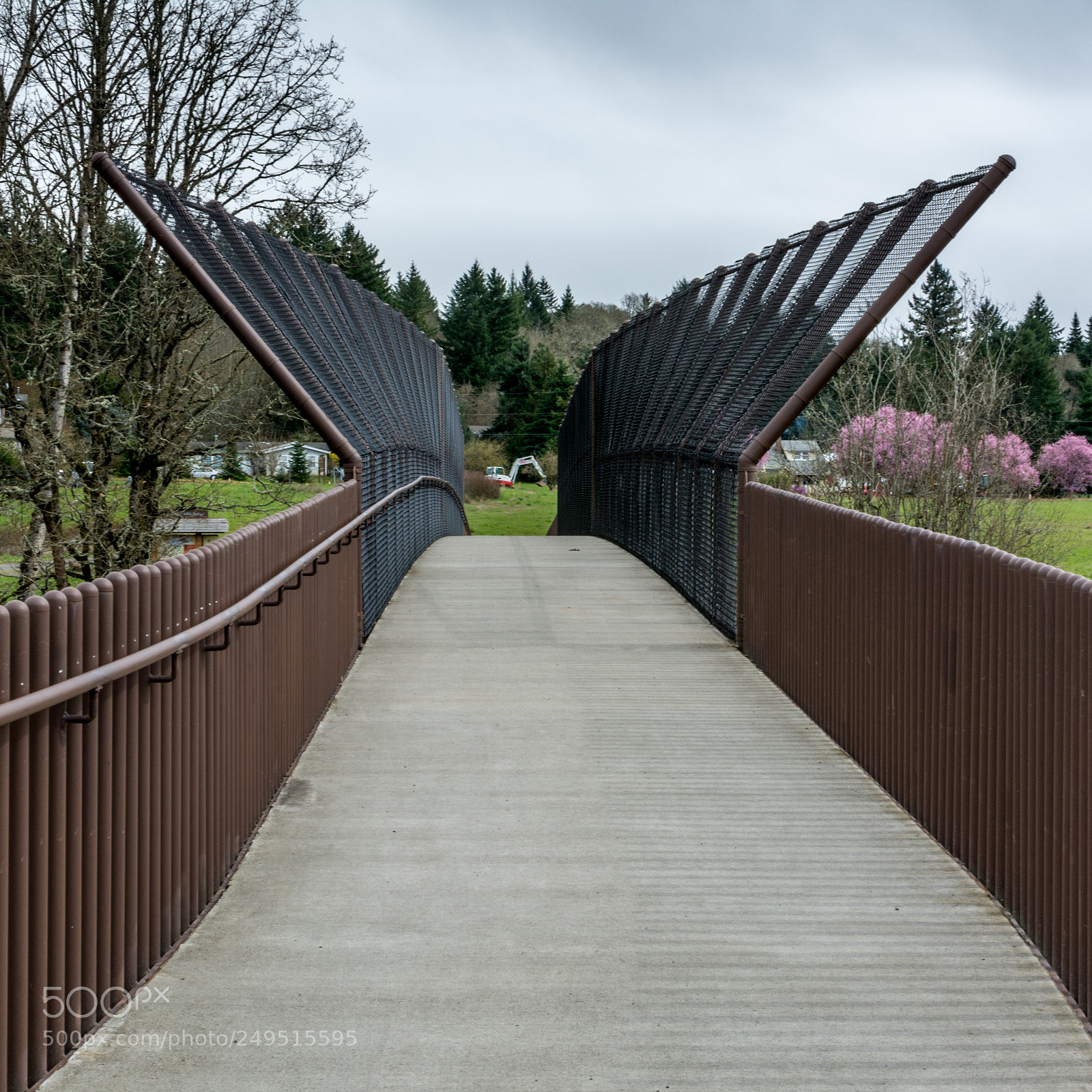 Nikon D7100 sample photo. Crossing over photography