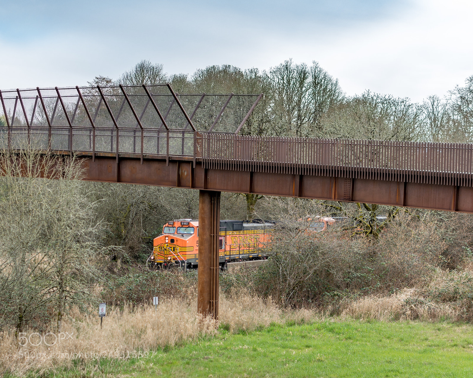 Nikon D7100 sample photo. No refuge from the photography