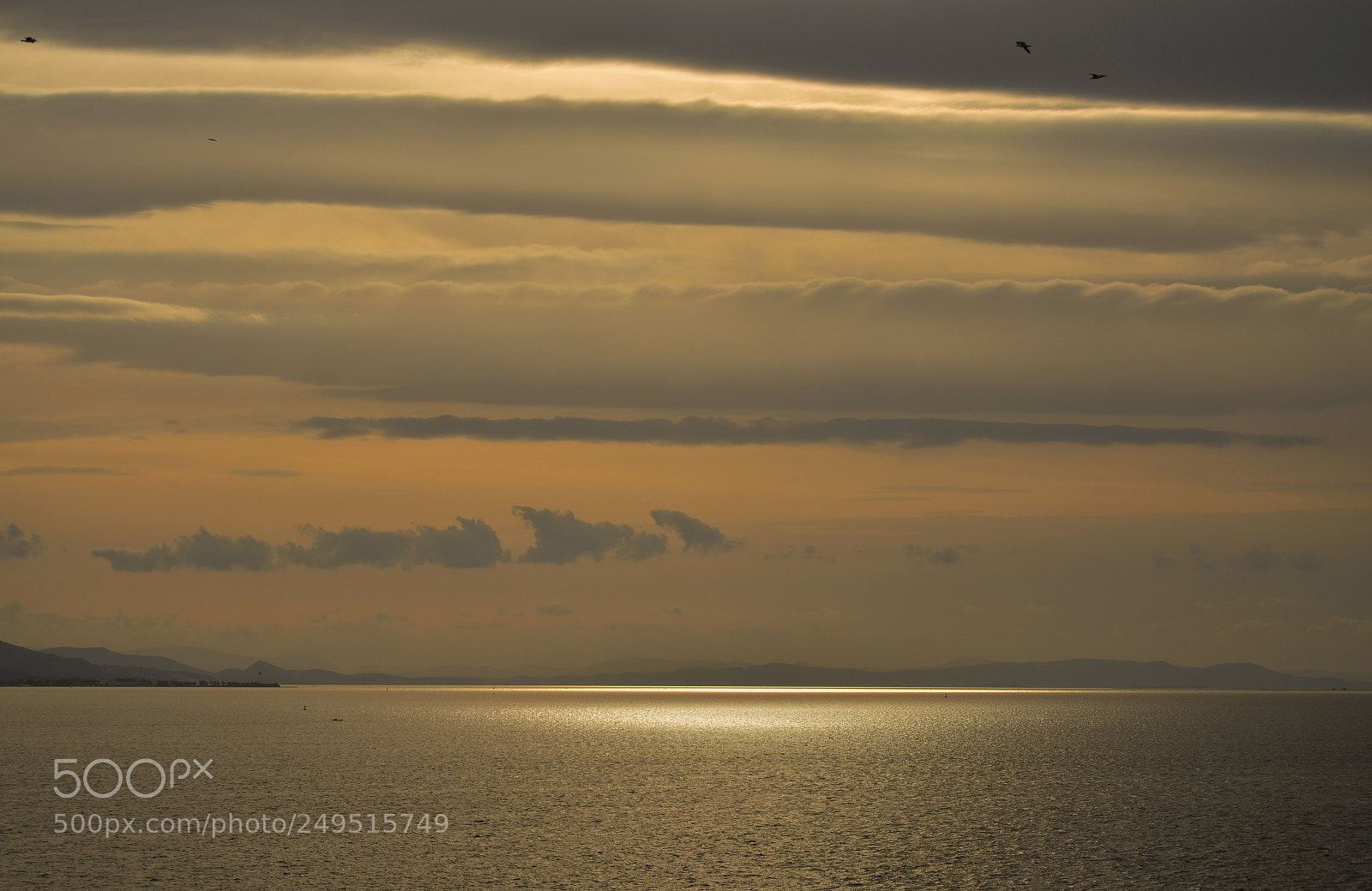 Nikon D5100 sample photo. Into the golden sunset photography