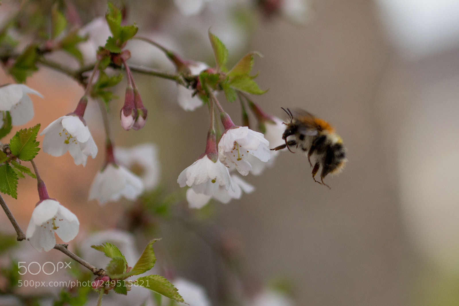 Canon EOS 700D (EOS Rebel T5i / EOS Kiss X7i) sample photo. Anticipation photography