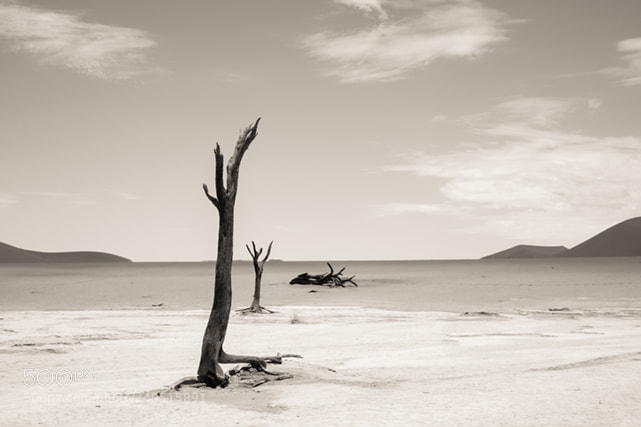Fujifilm X-T1 sample photo. Deadvlei photography