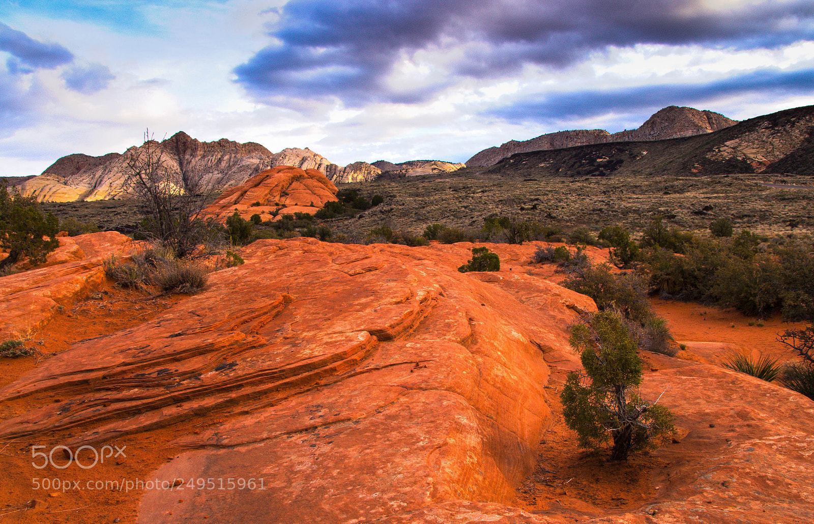Canon EOS 700D (EOS Rebel T5i / EOS Kiss X7i) sample photo. Snow canyon morning photography
